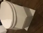 Avatar of toiletslave78